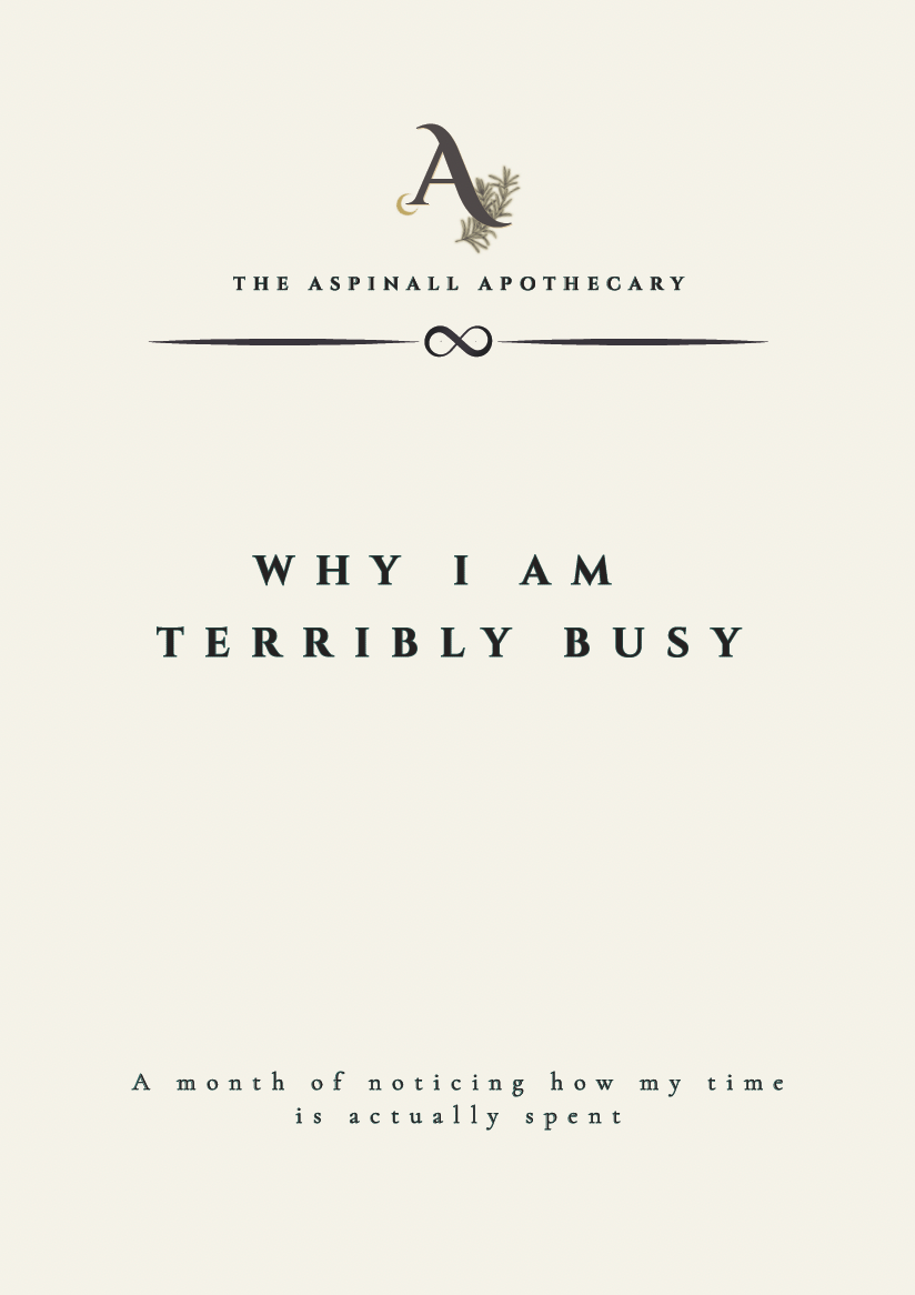 'Why I Am Terribly Busy' A 30-Day Tracker for the Overwhelmed & Curious